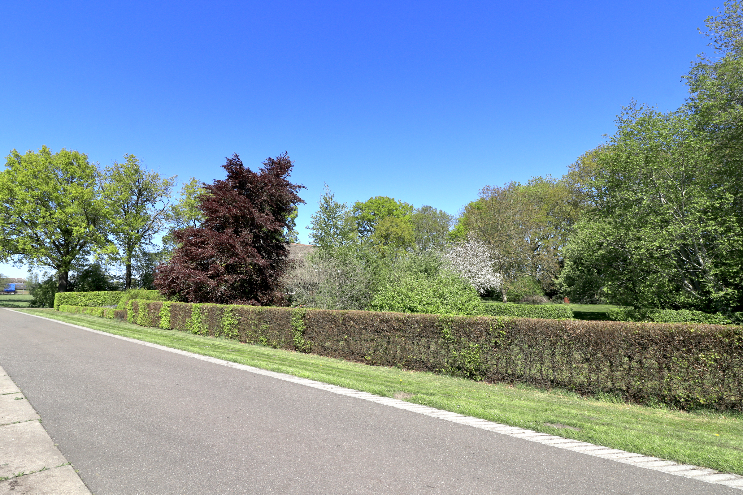 Woldlakeweg 6 – Scheerwolde – Foto 40 – foto 40