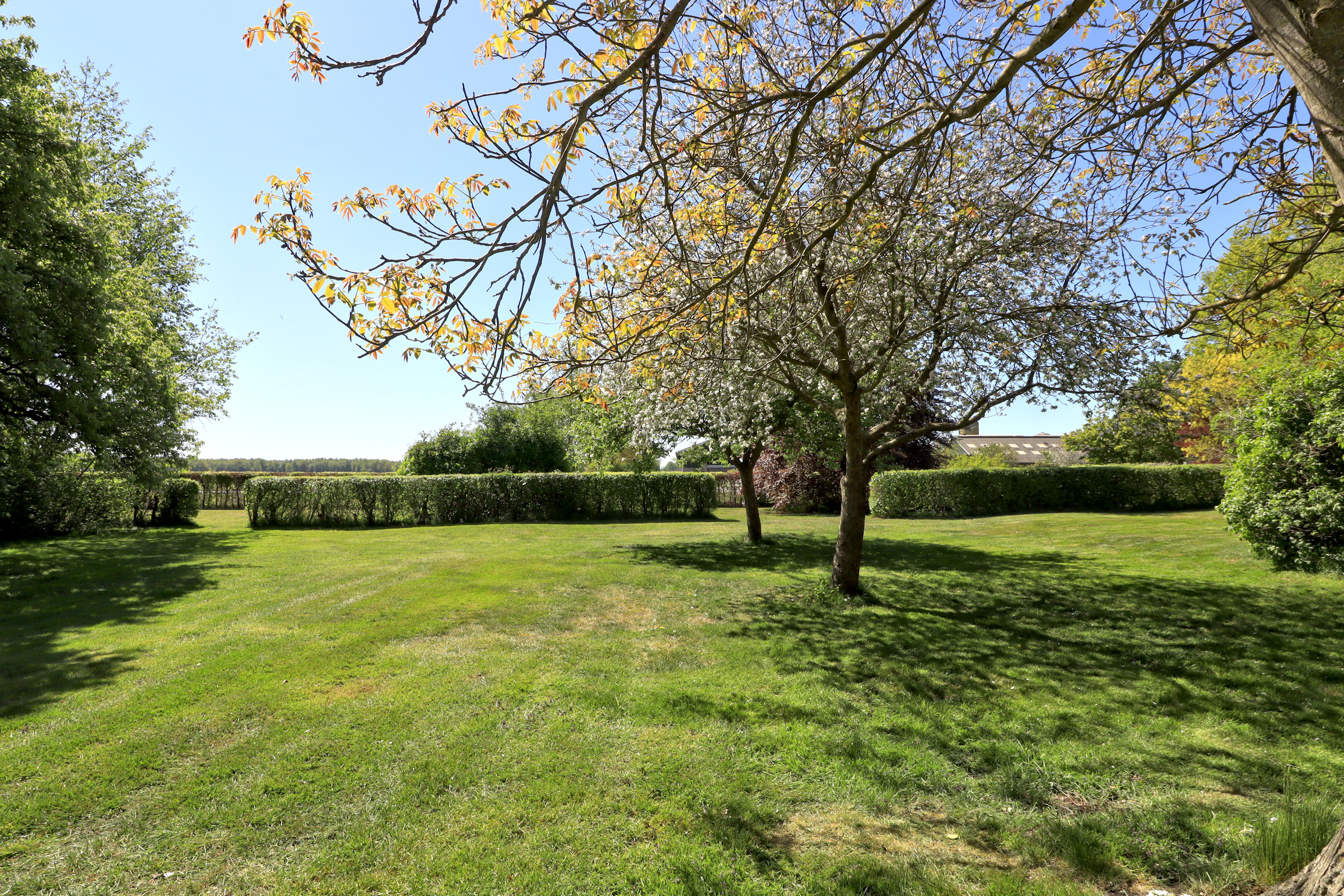 Woldlakeweg 6 – Scheerwolde – Foto 27 – foto 28