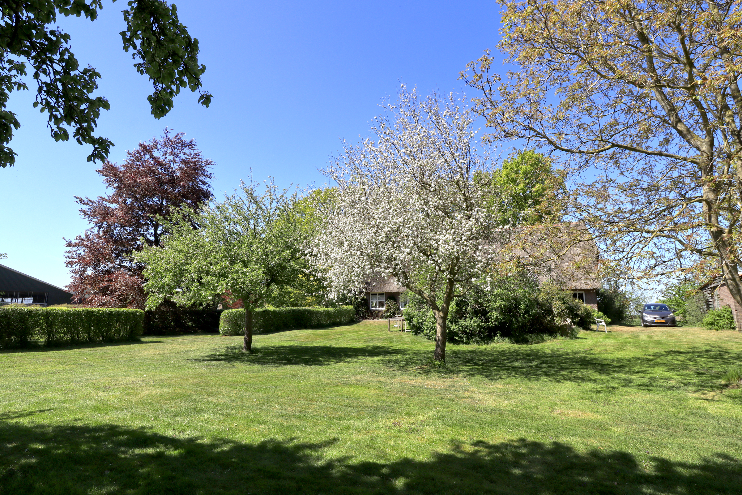 Woldlakeweg 6 – Scheerwolde – Foto – foto 2