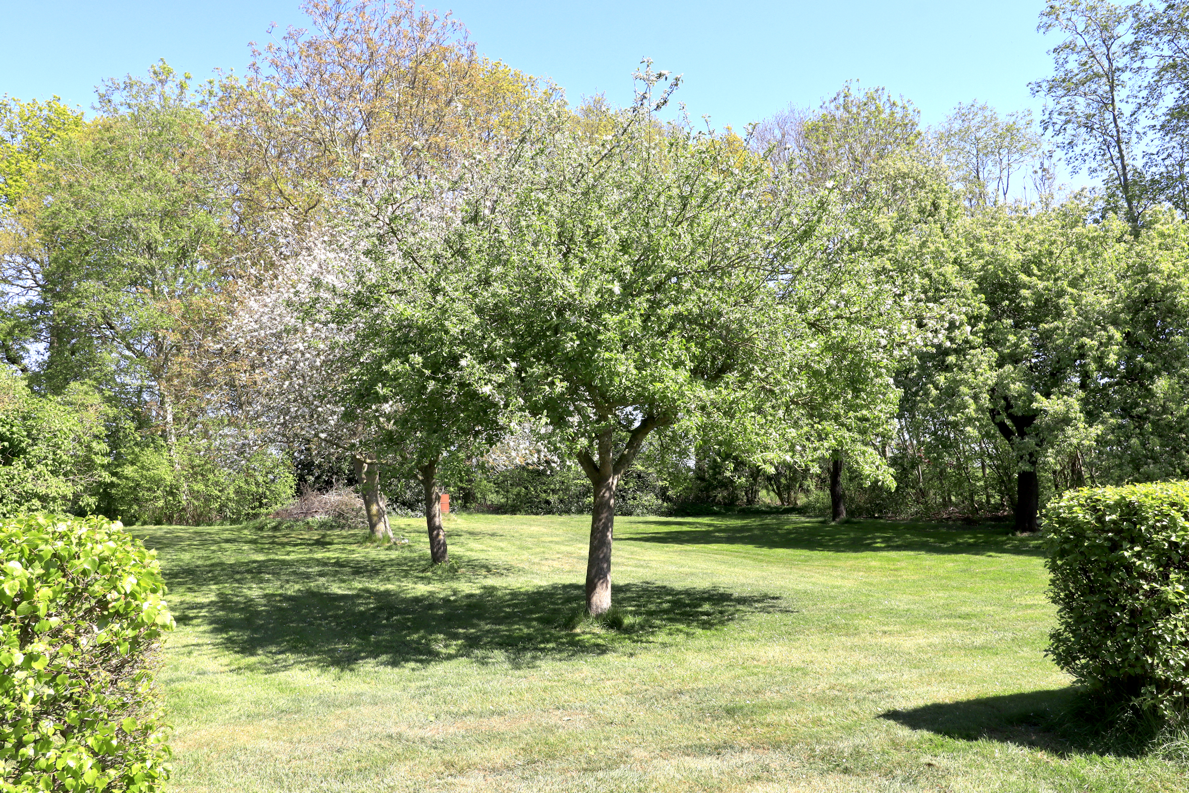 Woldlakeweg 6 – Scheerwolde – Foto 2 – foto 3