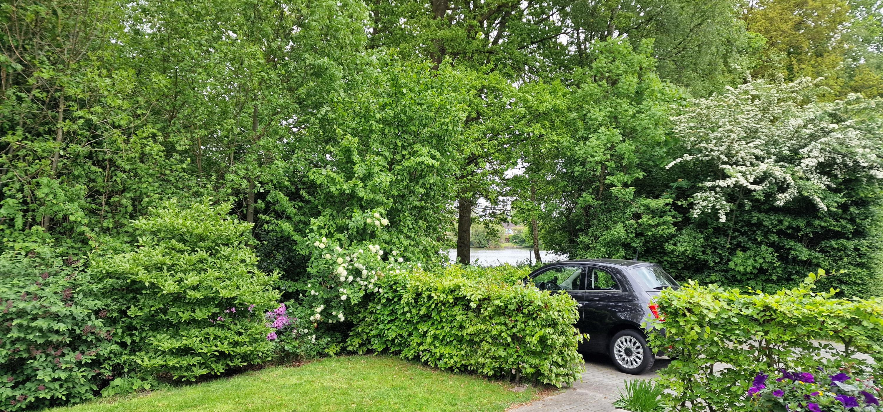Oostercluft 290 – Steenwijk – Foto 41 – foto 37