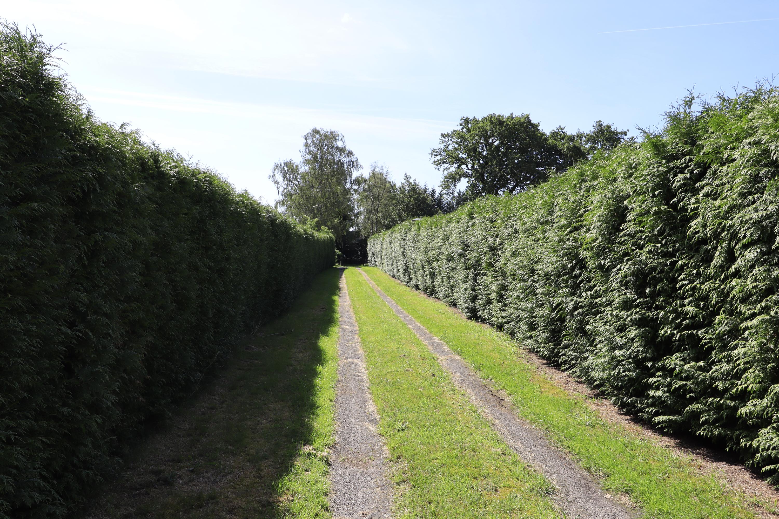 Steenakkers-Oost 7 – Onna | Makelaardij Middelbrink – Foto 10 – foto 11